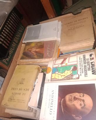 lotto cartoni di libri misti