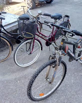 Mountain bike usata pochissimo