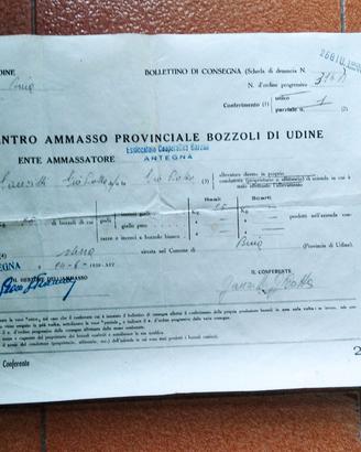 bollettino consegna bozzoli 1938