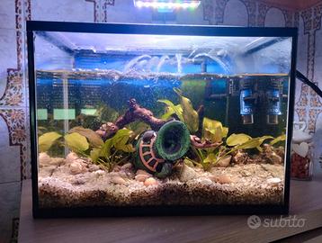 ACQUARIO 20LT