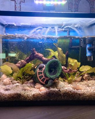 ACQUARIO 20LT