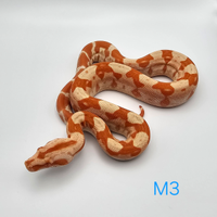 Boa c. Imperator