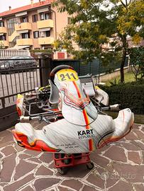 kart completo telaio kr motore iame ok