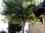 Immagine 23