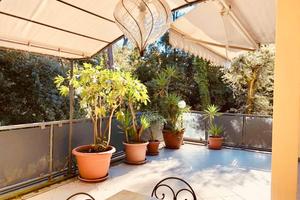 La Terrazza in pineta a 200m dal mare