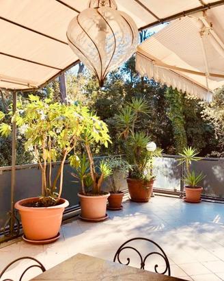 La Terrazza in pineta a 200m dal mare
