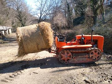 Trattore cingolato fiat 25c