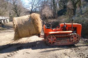 Trattore cingolato fiat 25c