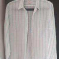 Camicia PAUL&SHARK AZZURRO