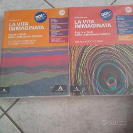 la vita immaginata