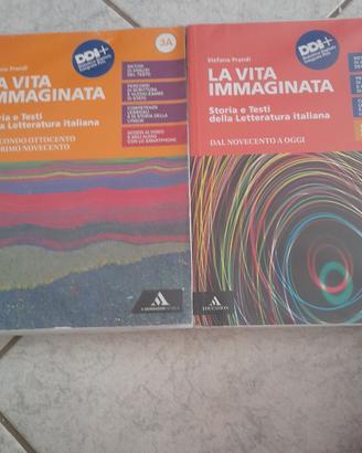 la vita immaginata