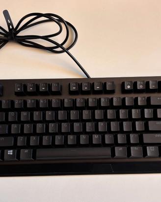 Razer Blackwidow V3 Tenkeyleness