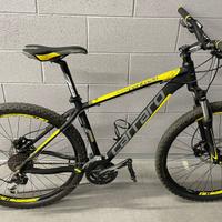 Bici mtb carraro