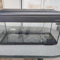 Acquario con luci funzionanti