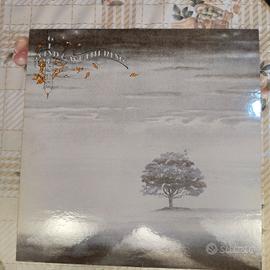 LP Genesis Wind and wuthering 