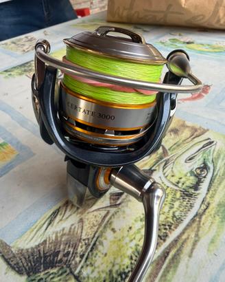 Mulinelli Daiwa e Shimano