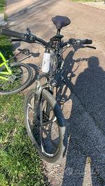 Bicicletta elettrica