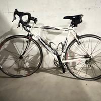 Bici da corsa Shock Blaze