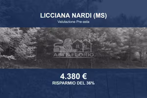 Immobile in asta di 2755 m² a Licciana Nardi