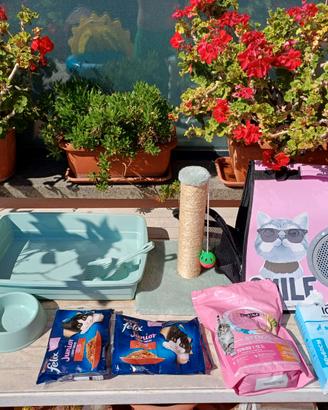 Articoli per gatto