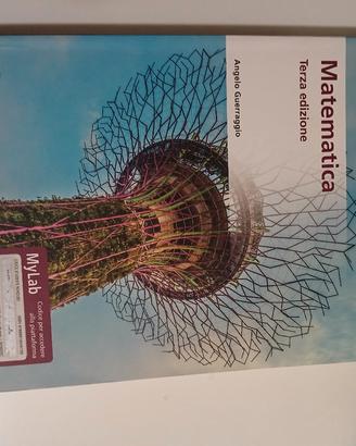 MATEMATICA, terza edizione