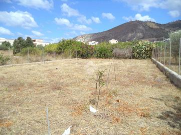 TER. AGRICOLO A TRAPANI
