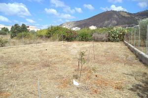 TER. AGRICOLO A TRAPANI