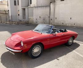 Alfa romeo duetto spider osso di seppia - 1969