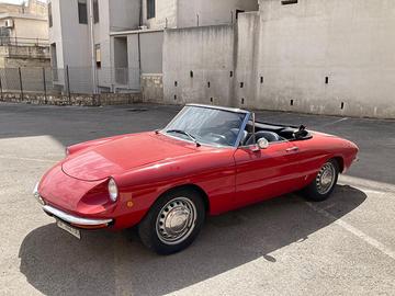 Alfa romeo duetto spider osso di seppia - 1969