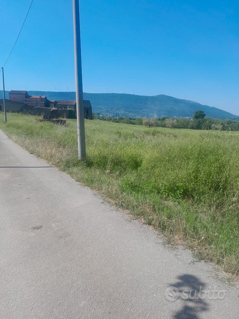 Terreno. Agticolo - Vista 2