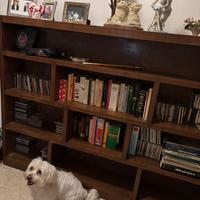 Libreria in legno