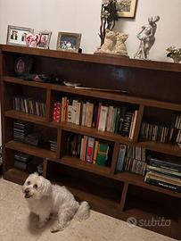 Libreria in legno