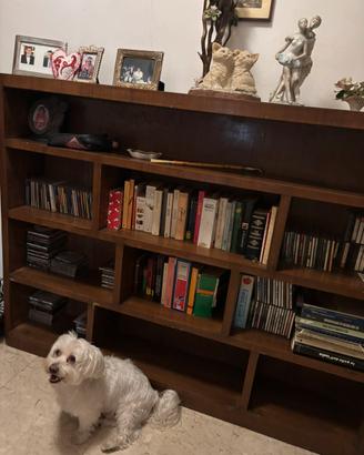 Libreria in legno