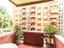 Immagine 26