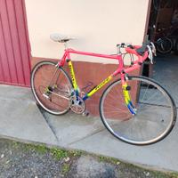 Bici Daccordi
