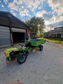 Grillo 131