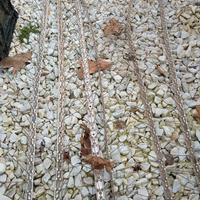 dissuasore per volatili 