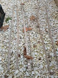 dissuasore per volatili 