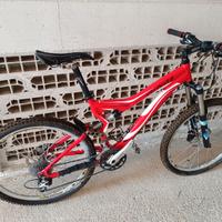 Specialized Stumpjumper Elite 26