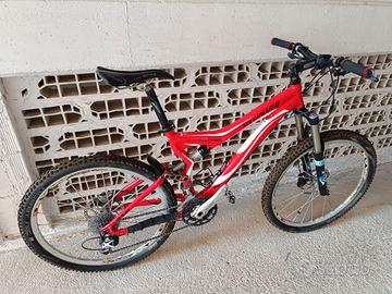 Specialized Stumpjumper Elite 26