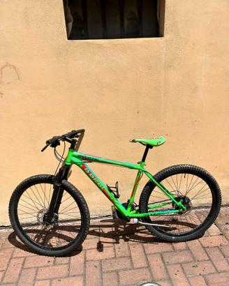 Bicicletta Mountain Bike