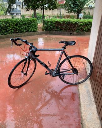 Bici fuji