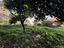 Immagine 14