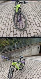 Bicicletta 26 pollici