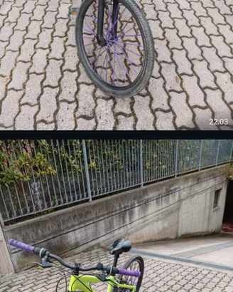 Bicicletta 26 pollici
