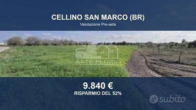 Immobile in asta di 17164 m² a Cellino San Marco
