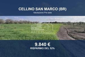 Immobile in asta di 17164 m² a Cellino San Marco