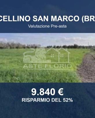 Immobile in asta di 17164 m² a Cellino San Marco