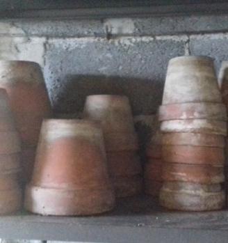 Vasi in terracotta
