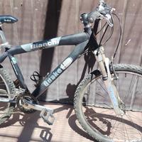 Bianchi Mountain bike Quake